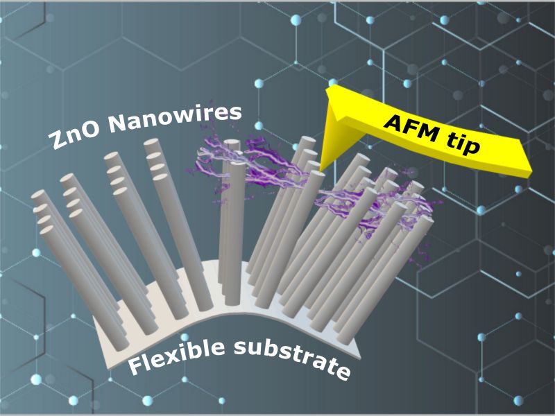 Growth of ZnO nanowires