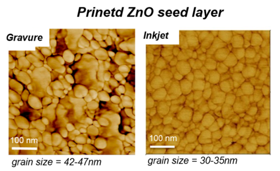 AFM phase images of gravure- and inkjet-printed ZnO seed layers onto ITO/flexible substrate
